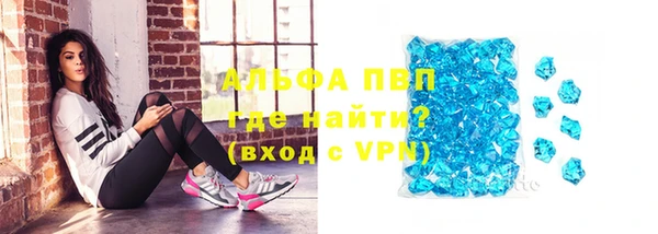 индика Белоозёрский