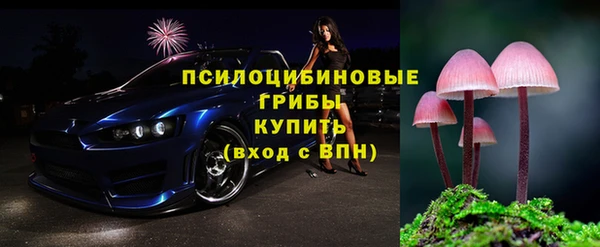 мдпв Белокуриха